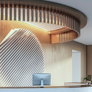 Functional Light