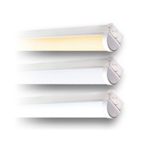Lightspan Plus