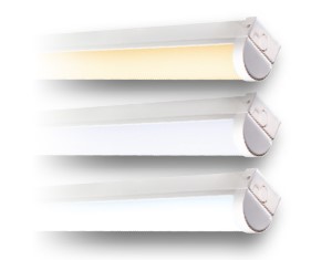 Lightspan Plus